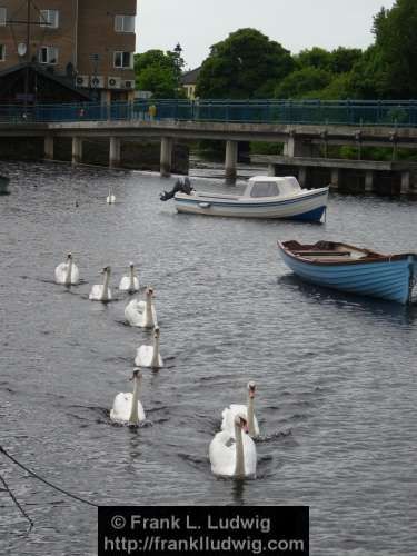 Swan Parade